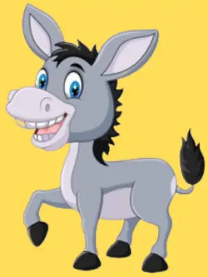 A big strong donkey called Funny Jokes