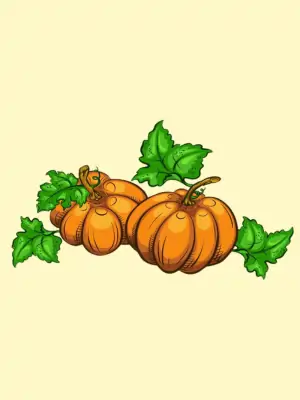 Walnuts Or Pumpkins Funny Jokes